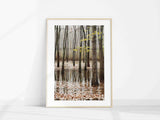 Wall art featuring a serene river scene surrounded by fall trees with yellow foliage - MRC Art by Design